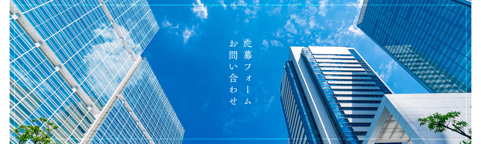 応募フォーム・お問い合わせ